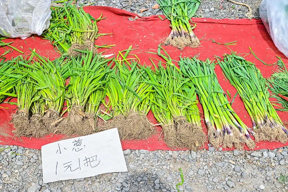 北京京郊大集地理位置,今天京郊哪有大集
