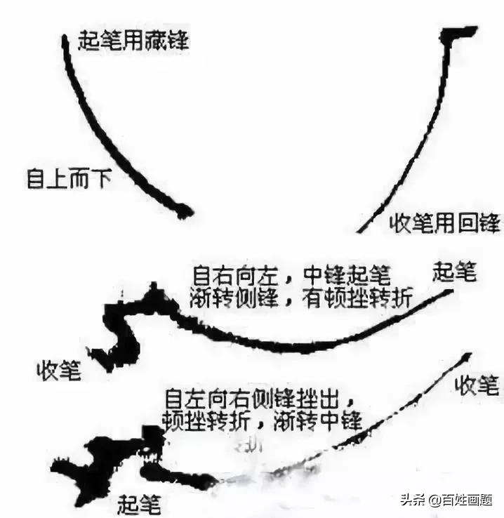 国画梅花画法视频,徐湛梅花画法教程