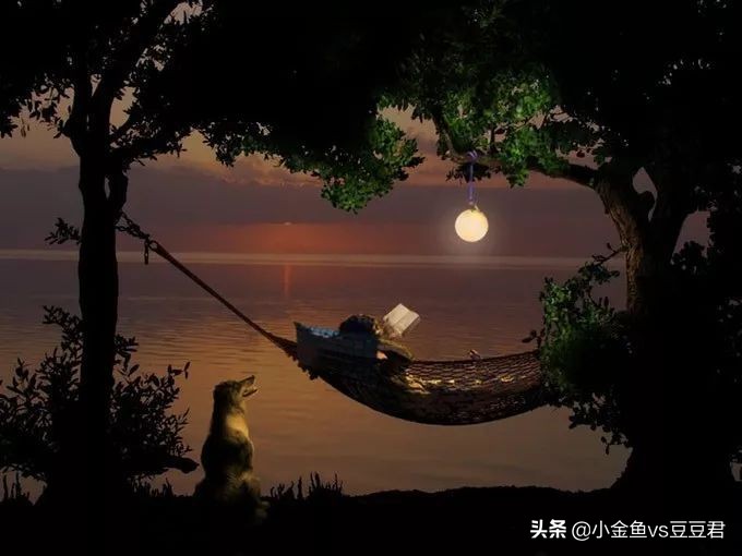 这盏灯又轻又亮,这盏灯