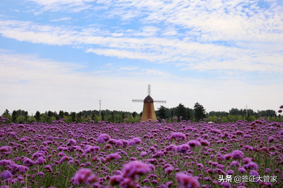 详细说下D7葡萄牙养老签证的一些条款和关注事项