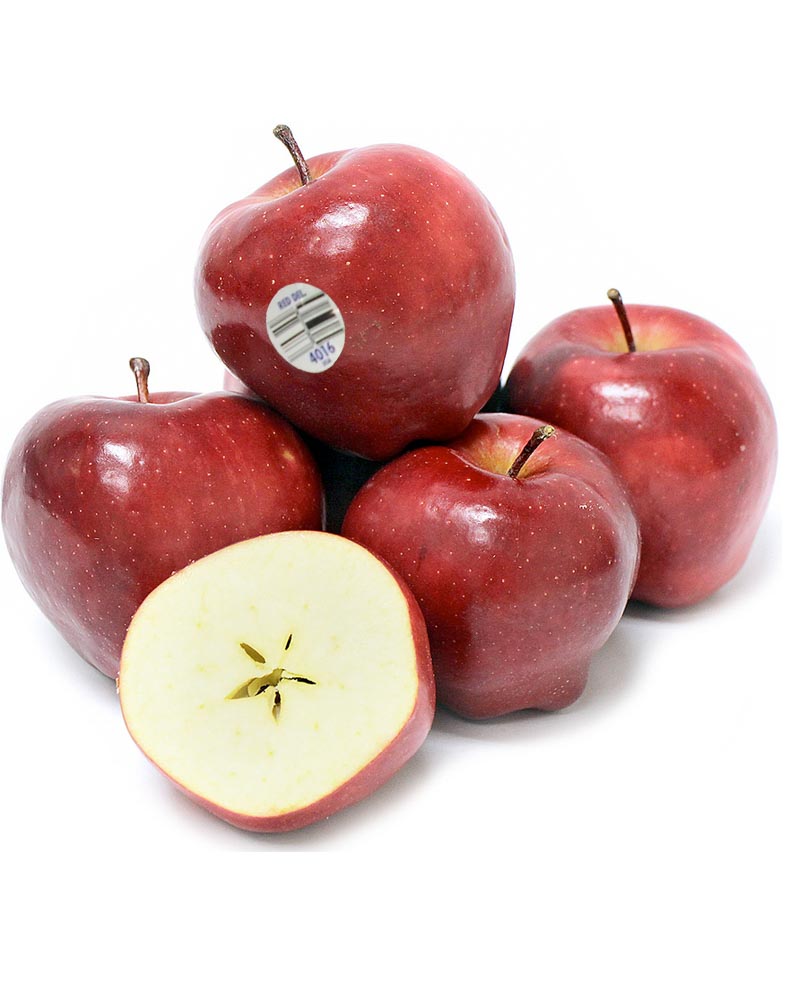 恐怖：异次元脑控正在成为现实，科学家已经能控制猴子