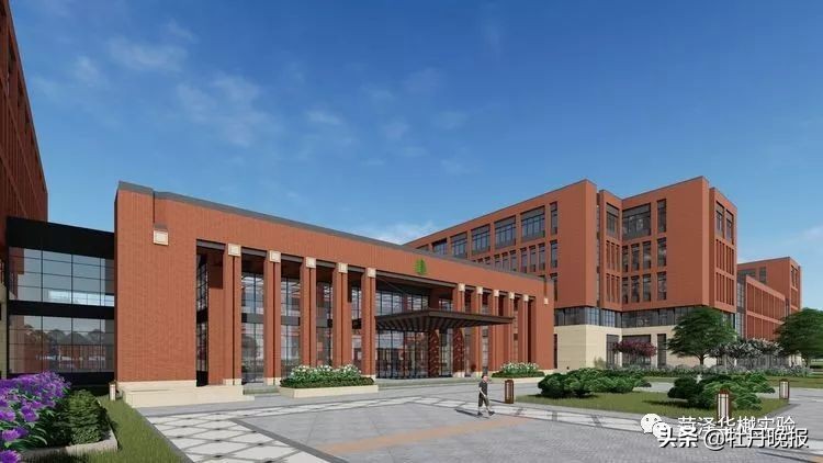 定陶区2019年小学招生政策,定陶中学招生通知什么时间公布