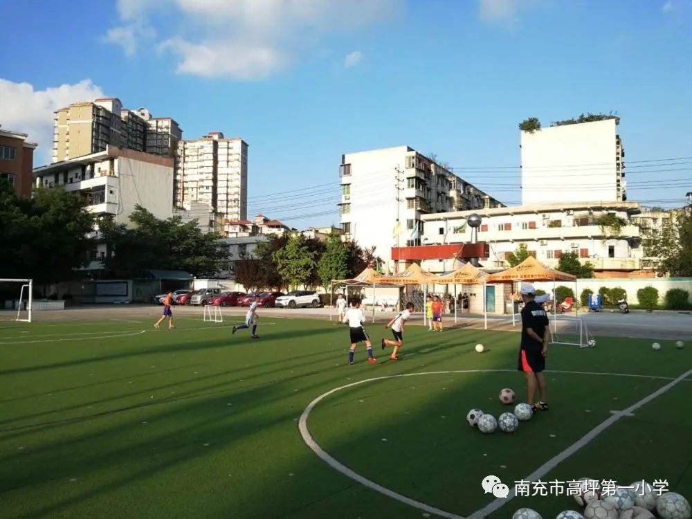 绿茵场上挥洒的青春,绿茵场上挥洒汗水追逐梦想