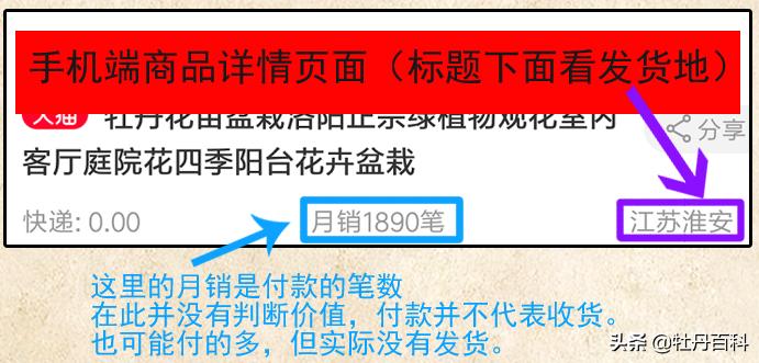 牡丹花怎么分辨真假观赏牡丹,真牡丹花蕾和假牡丹的区别