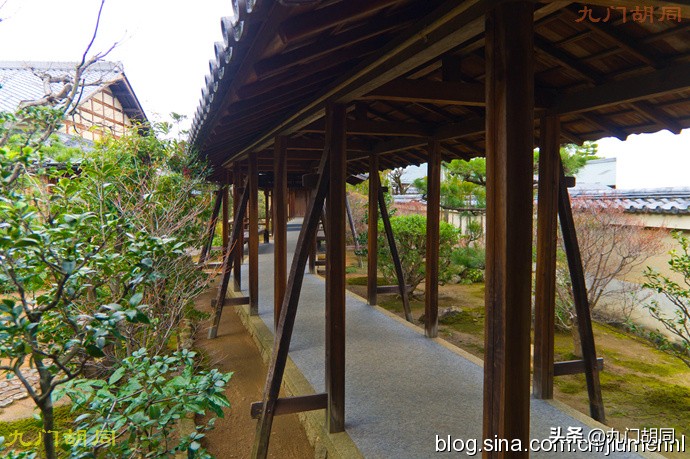 京都大德寺的庭院,织田信长墓地图片大全