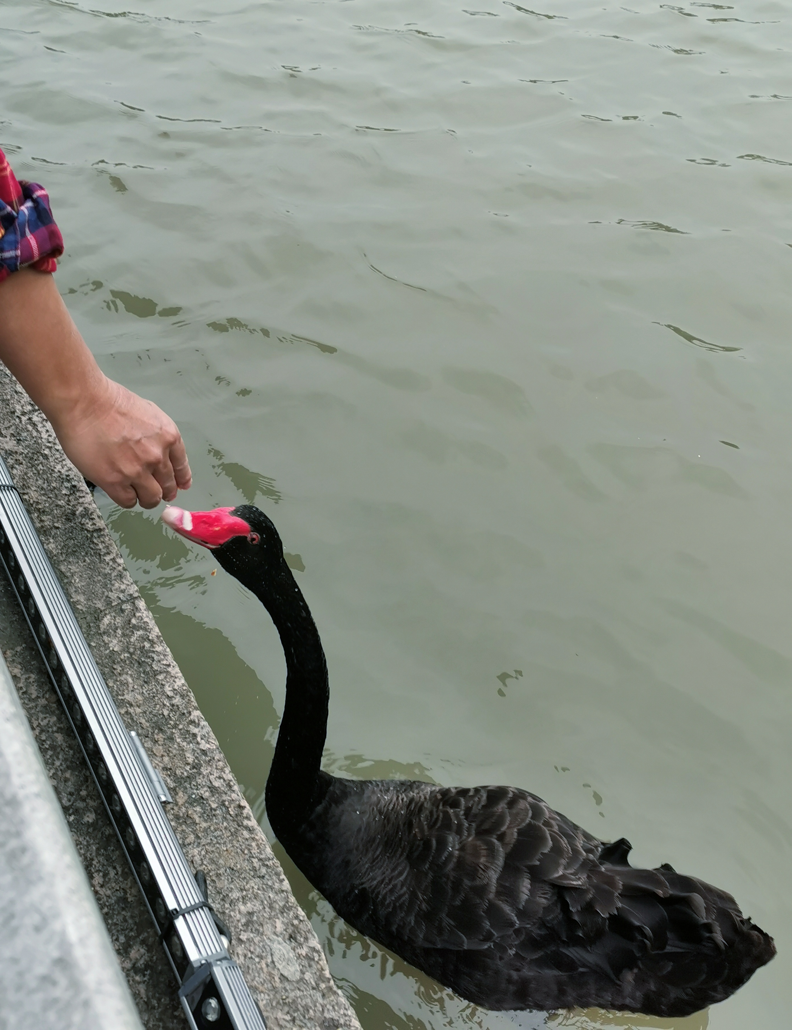 瘦西湖美若西施,古典瘦西湖