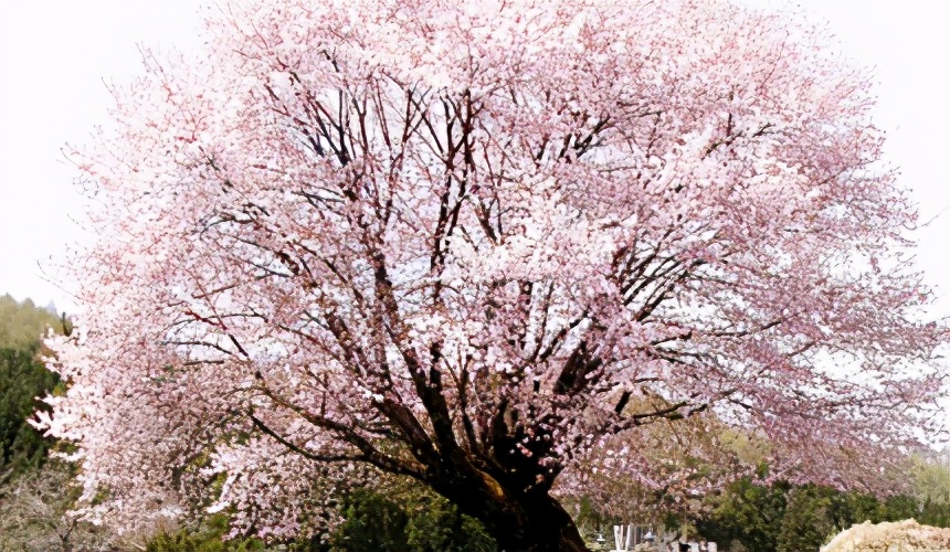 群马县自驾游,群马县深度游