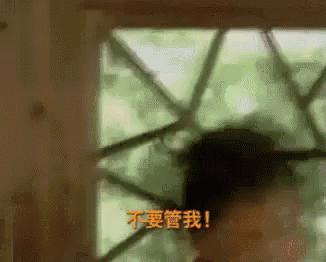新加坡房产新政对市场的影响,新加坡购买新hdb条件