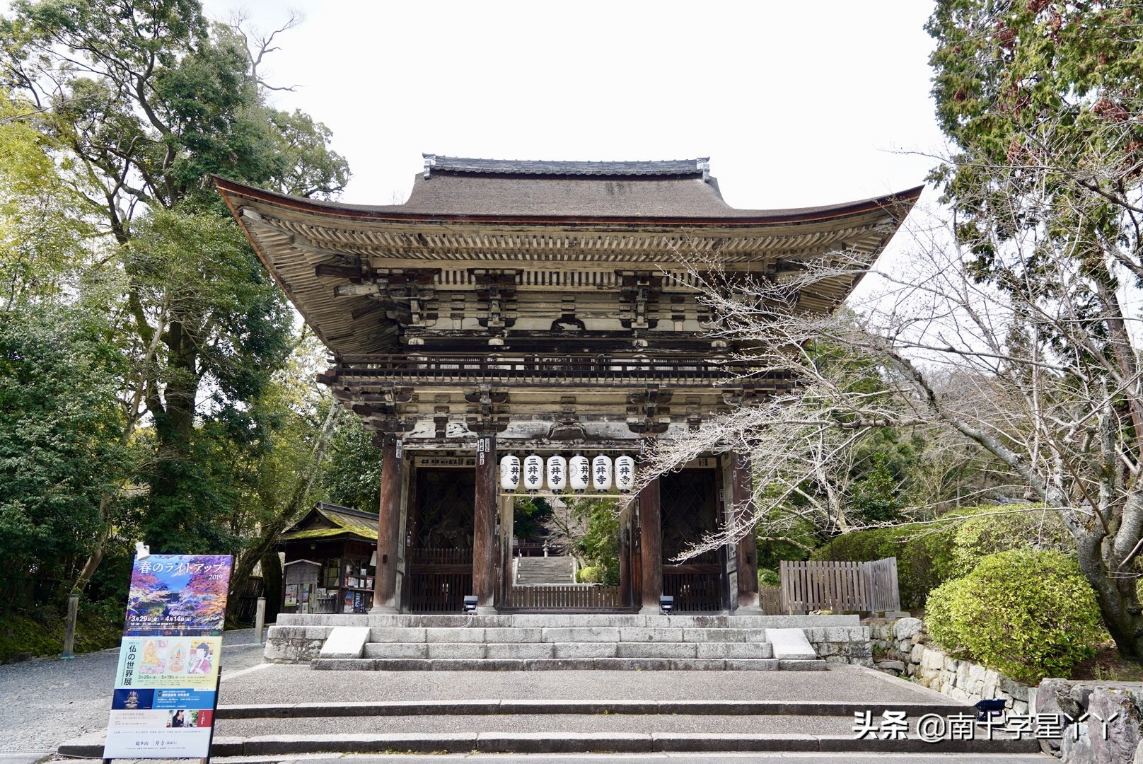 这个樱花季，造访SKII神仙水的水源地