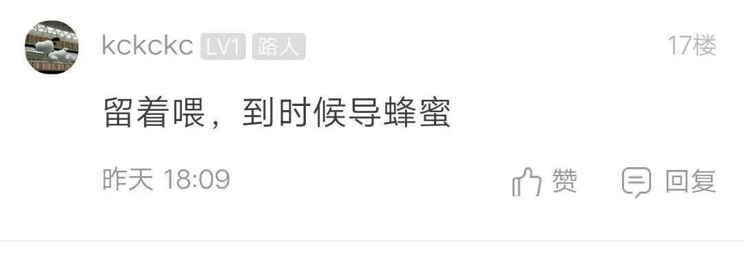 阳台被胡蜂建窝有什么讲究,野蜂在客厅窗户外筑巢是什么征兆