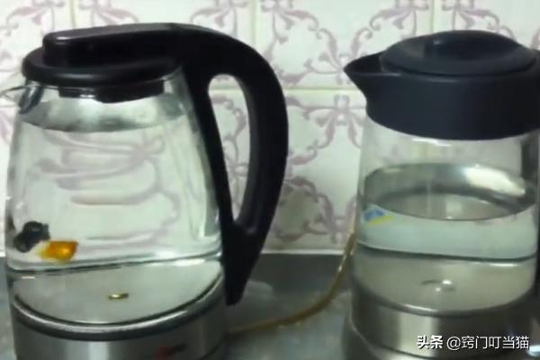 废旧热水壶不要扔,坏掉的热水壶可以变废为宝吗