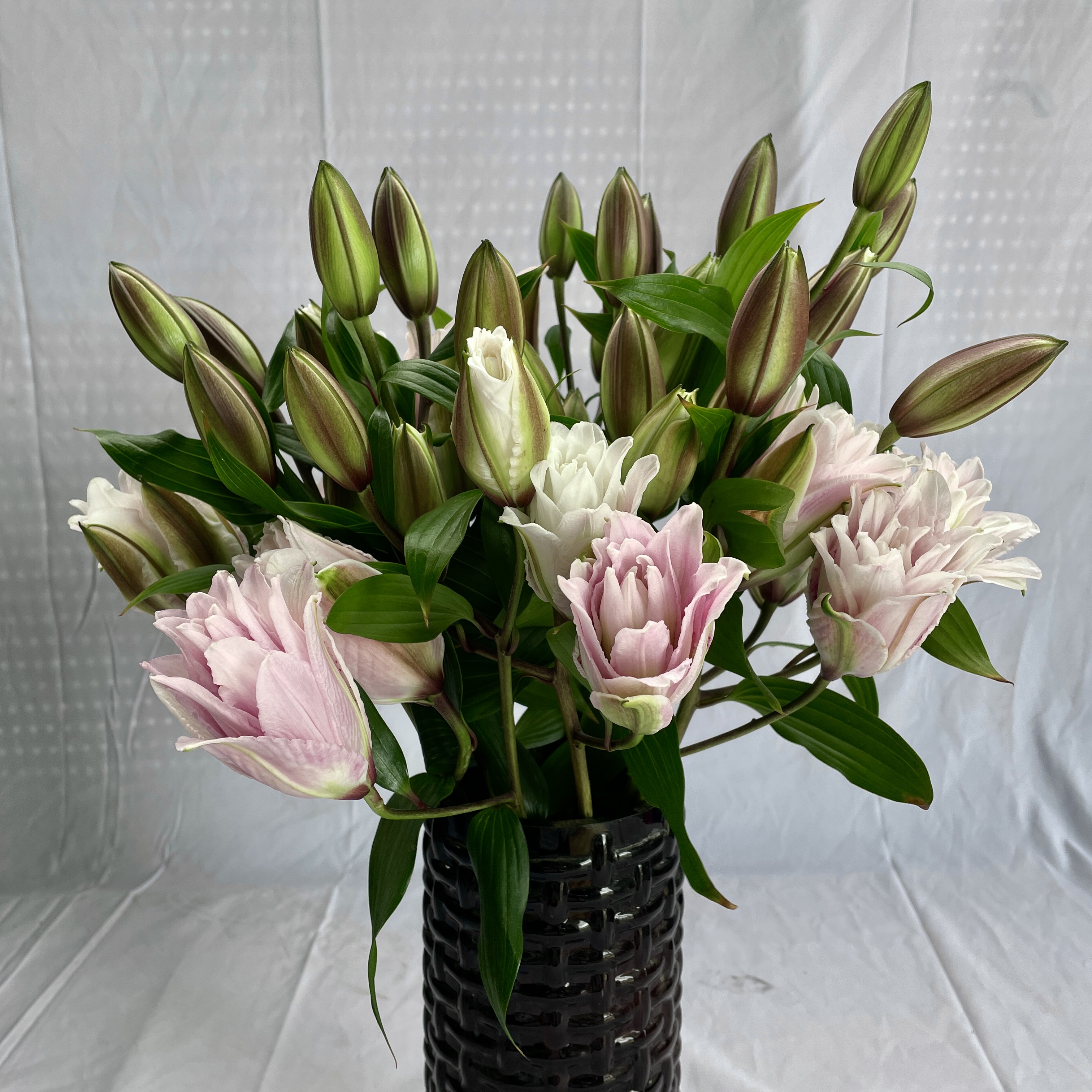 我与鲜花有个约定之百合花篇