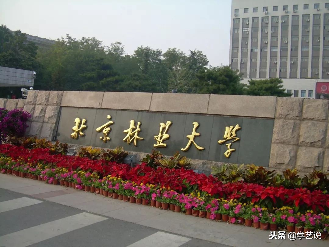 这些大学不是985,却有着全国排名第一的专业！想考上真的难吗？