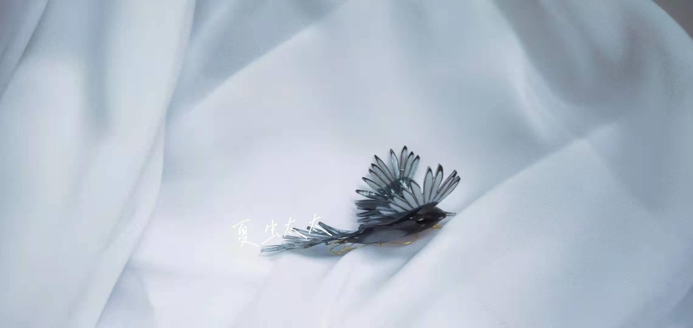 为什么喜鹊是个吉祥鸟,喜鹊真的喜鹊吗