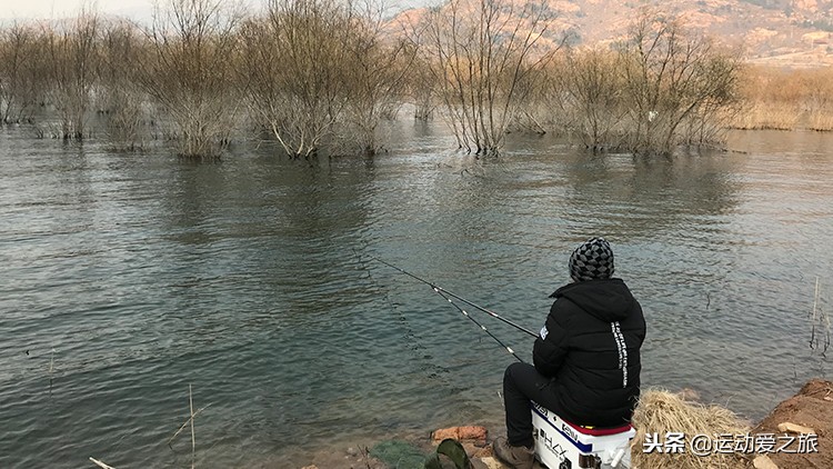 窝里有鱼却不咬钩是怎么回事,窝里有鱼但不咬钩怎么回事