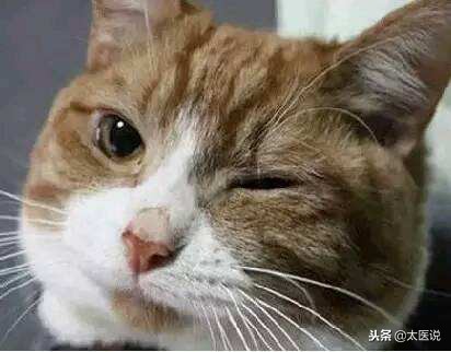 间歇性斜视做手术的危害,斜视的危害图文