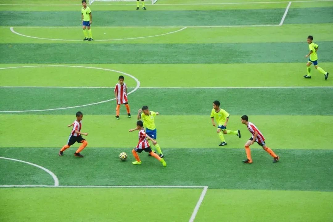 2020浦城小学生男足联赛落幕派迪茵体育试点校斩获冠亚军