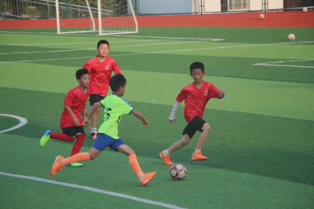 信阳维德青训基地,维德青少年培训