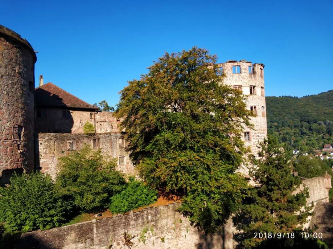 海德堡德国旅游视频,德国海德堡旅游攻略