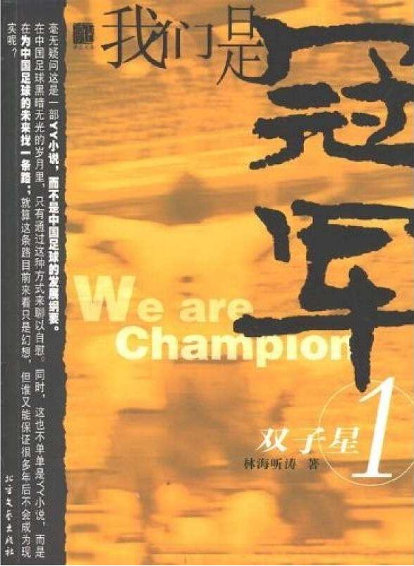 欧洲杯小说,最好的足球类小说排行榜前十名