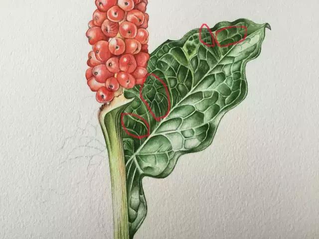 水彩密密麻麻的树叶怎么画,水彩画教程入门叶子