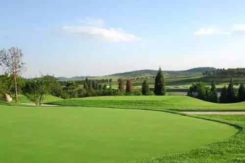 昆明周边适合露营的森林,昆明附近露营风景好