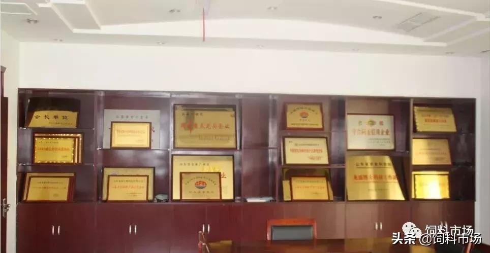 山东临沂牧原农牧有限公司,山东临沂大力发展聪颖农业