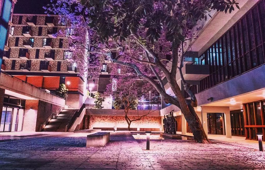 亿万富翁墨尔本大学,新南威尔士大学百万富豪的摇篮