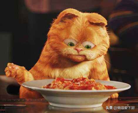 买意大利蝴蝶结意面,买意大利面