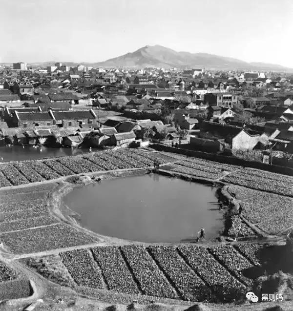 1934年的南京城,1944年南京视频