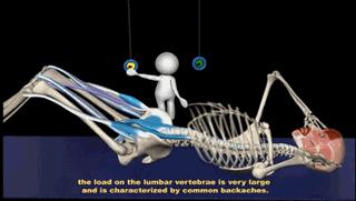 每天30个仰卧起坐多久练出马甲线,练马甲线仰卧起坐正确姿势