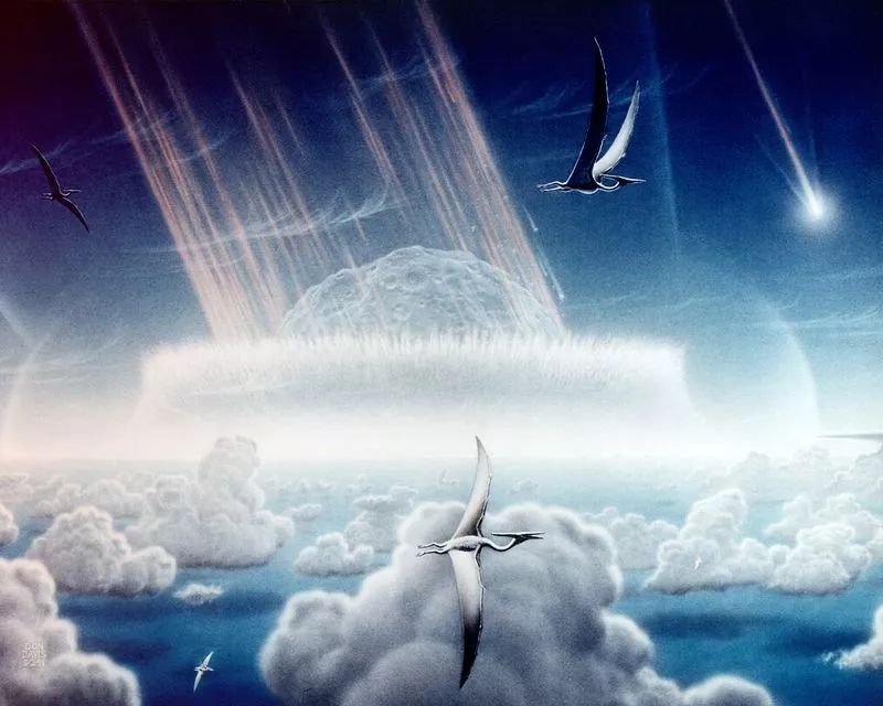 童年阴影停播究竟为何,走近科学为什么成为童年阴影