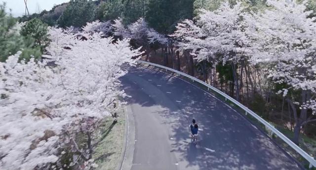 海街日记小女孩,海街日记小女孩是谁