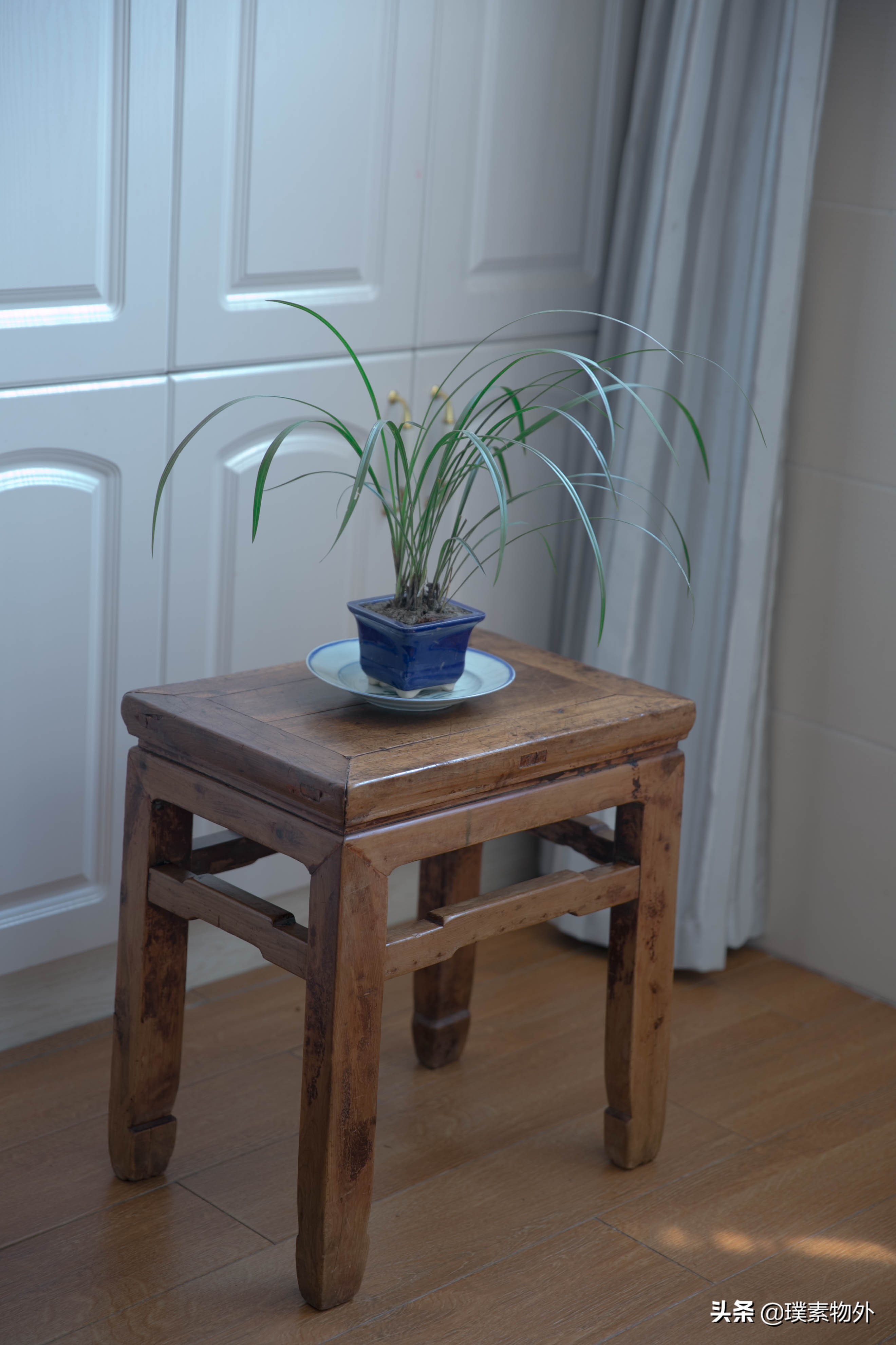 我在江苏一线收购的藏品分享每周发布本期事件20200518