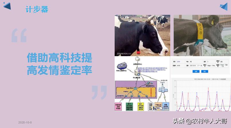 奶牛产后子宫净化保健实施方案ppT课件