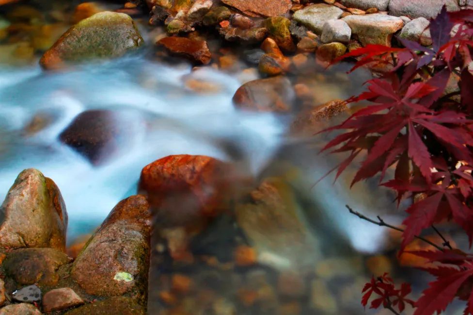 梧州旅游攻略西江明珠,梧州和贺州风景好的地方