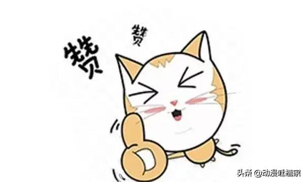 海贼王新世界中的船医们,海贼王新世界所有船员