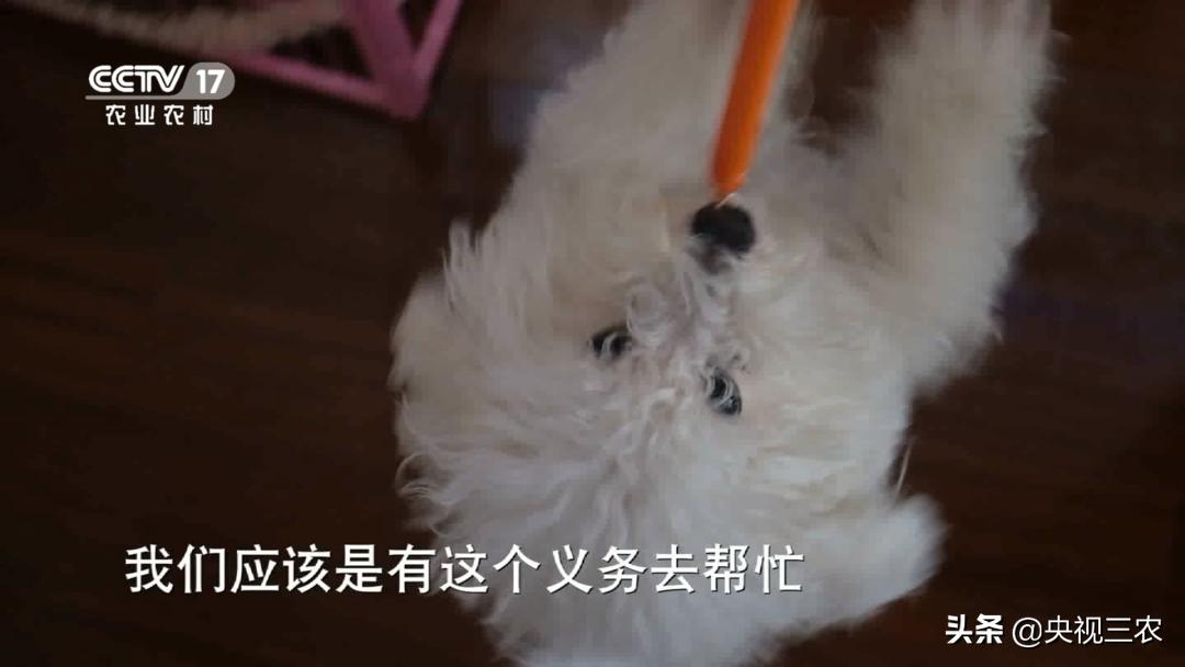 退伍老兵一个习惯救了自己一命,退伍老兵救了一车人