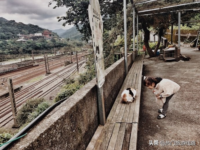 台湾猴硐猫村值得去吗,猴硐猫村旅游攻略