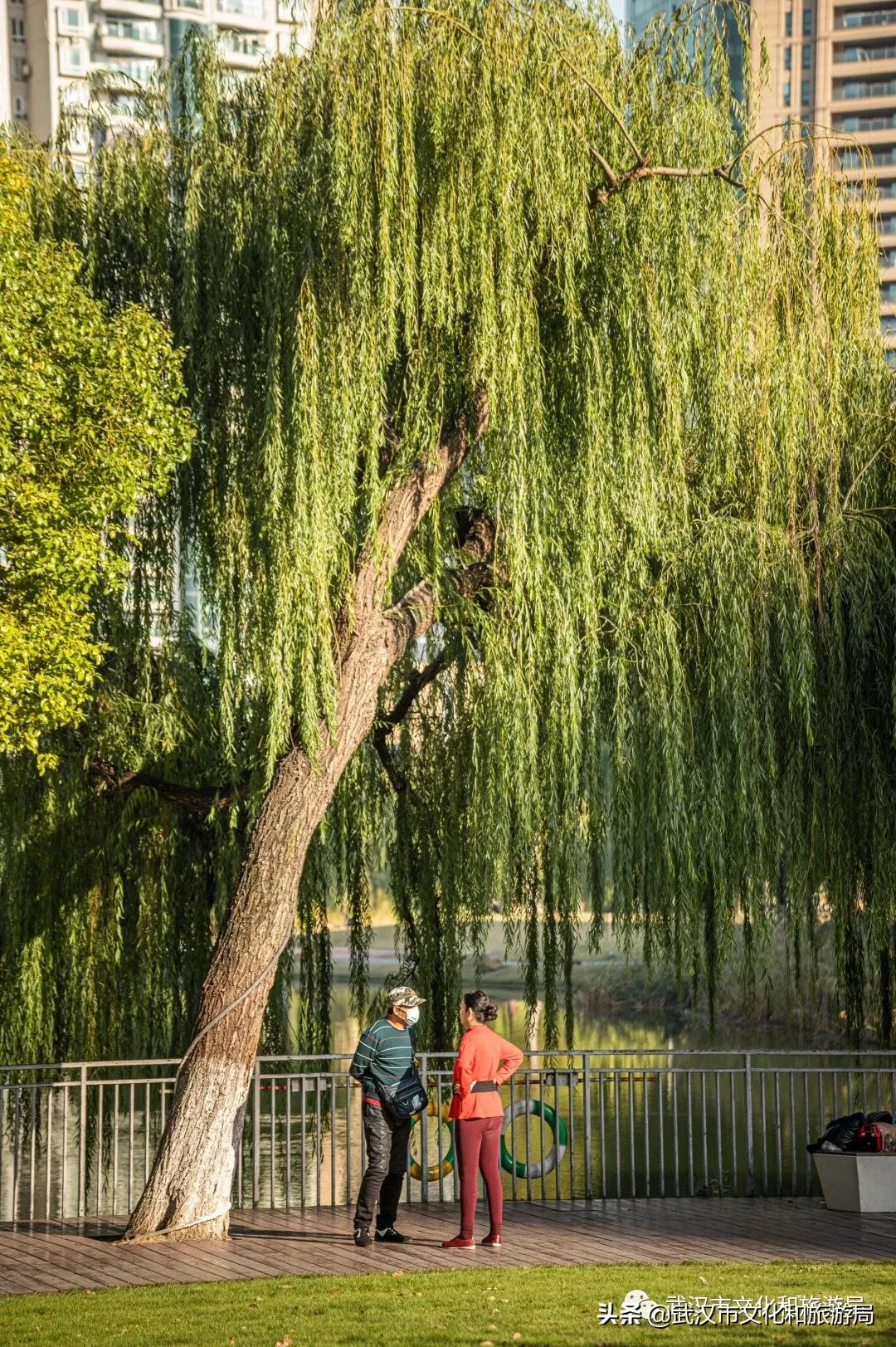 五一武汉小众宝藏旅行地,武汉有哪些宝藏打卡地点