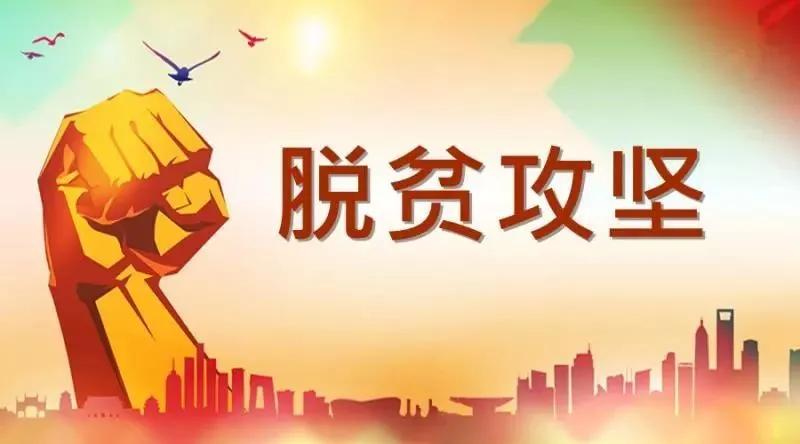 农民点菜，专家掌勺？还能按需配送？惠民致富的这道“菜”味道如何？听田文委员讲首都科技社团帮扶故事