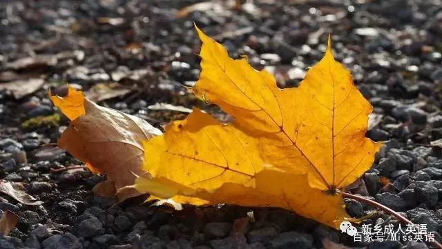 英语关于颜色还有哪些语法点,嫉妒眼红的区别