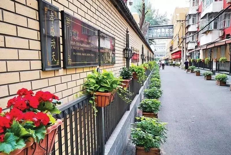 朝阳街巷遇见美好