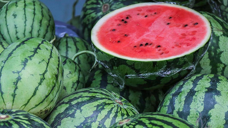 石家庄特产正宗安徽牛肉面,石家庄正定县十大特产