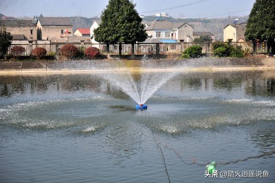 死水塘养殖如何水循环,死水塘改善水质