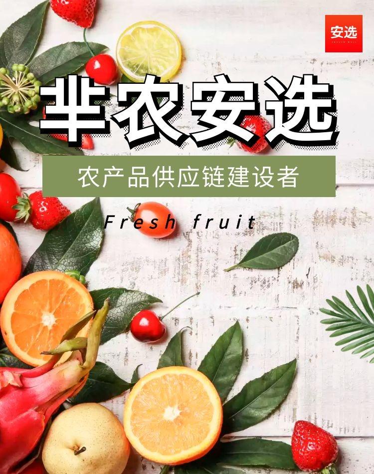 漫漫黄沙终拂去，甜甜蜜瓜始到来