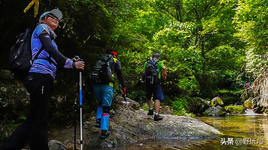 护膝是鸡肋吗,户外运动护膝专业运动员护膝