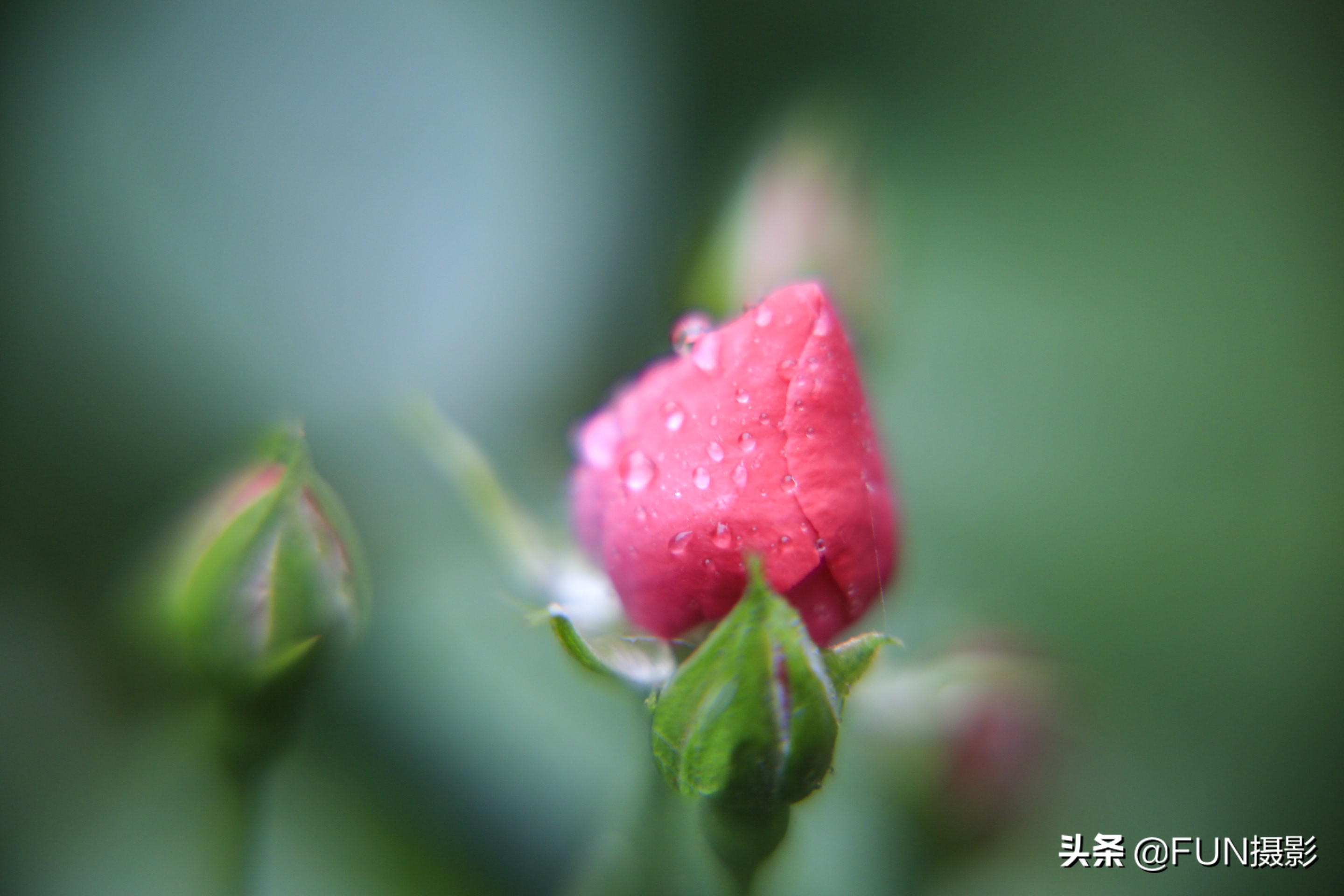 如何拍出好看的雨景照片,怎么拍下雨的雨景照片好看