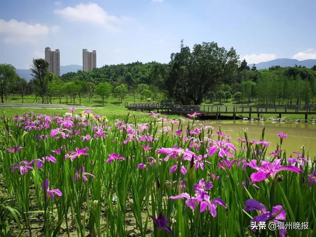 福州东街口去景点方便吗,东街口福州游玩