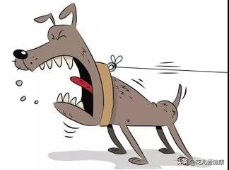 打完狂犬病疫苗，我还能吃吃吃吗？